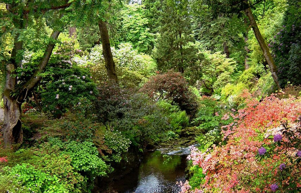 Bodnant Garden History- Planting the Seed of Beauty